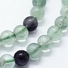 Natural Fluorite Beads Strands G-I199-12-10mm-3