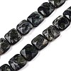 Natural Kambaba Jasper Beads Strands G-T138-171-4
