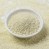 MIYUKI Round Rocailles Beads X-SEED-G009-RR0491-3