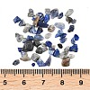 Natural Lapis Lazuli Chip Beads G-O103-21-4