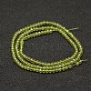 Natural Peridot Beads Strands G-F460-05-2