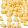 PE Fuse Beads X-DIY-R013-A19-1