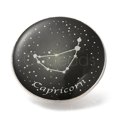 Twelve Constellation Creative Alloy Badges Constellation Brooches LS-JEWB-S033-01P-J-1