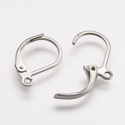 Tarnish Resistant 316 Surgical Stainless Steel Leverback Earring Findings X-STAS-P113-01-1