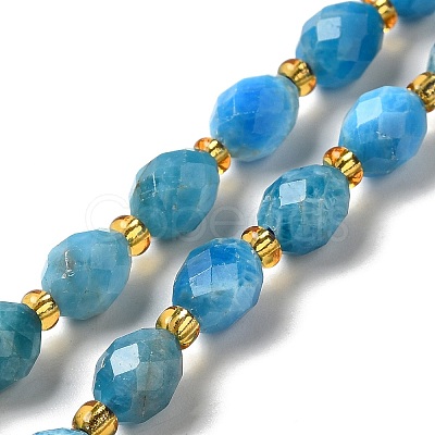Natural Apatite Beads Strands G-H297-C03-01-1
