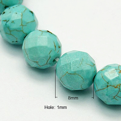 Natural Howlite Beads Strands TURQ-P027-44-1