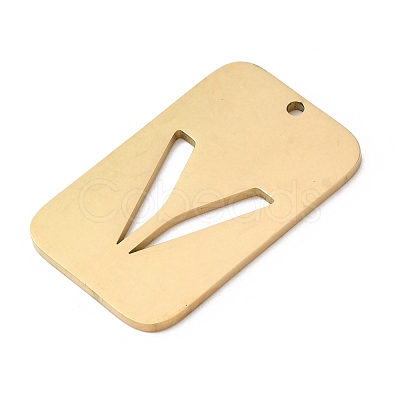 304 Stainless Steel Pendants STAS-D200-01V-G-1