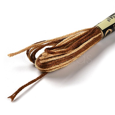 10 Skeins 6-Ply Polyester Embroidery Floss OCOR-K006-A51-1