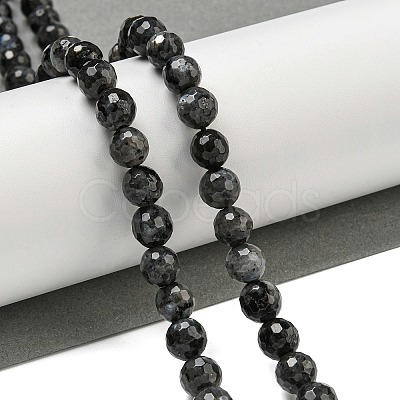 Natural Larvikite Beads Strands G-E571-A09-02-1