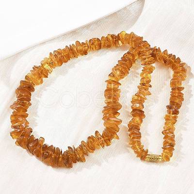Natural Amber Chip Beaded Necklaces NJEW-L466-03A-1