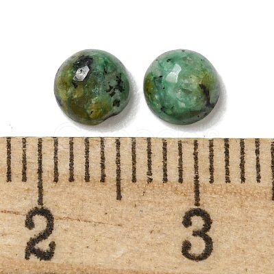 Natural African Turquoise(Jasper) Cabochons G-Q173-01B-05-1