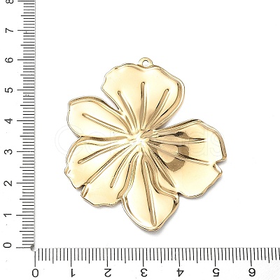 304 Stainless Steel Enamel Big Pendants STAS-Z200-01G-01-1