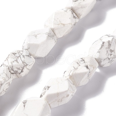 Natural Howlite Beads Strands G-L235A-14-1