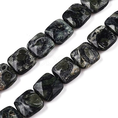 Natural Kambaba Jasper Beads Strands G-T138-171-1