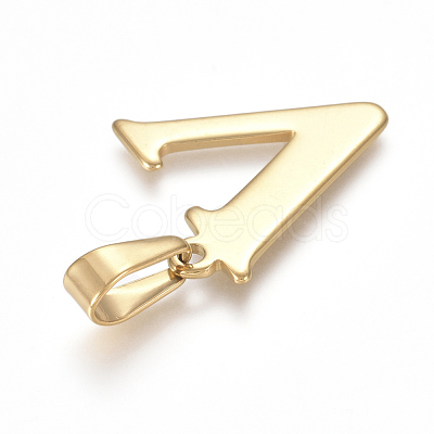 304 Stainless Steel Pendants STAS-F106-95G-V-1