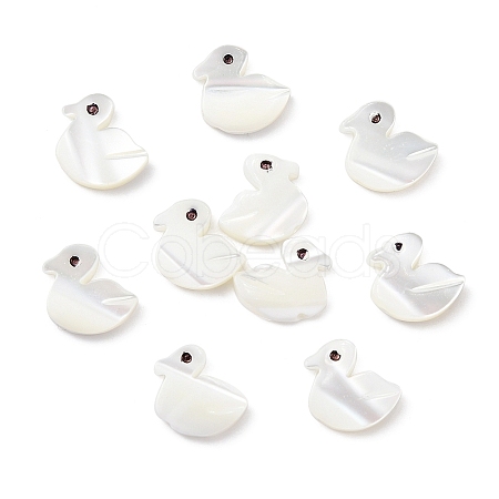 10Pcs Natural Trochid Shell/Trochus Shell Beads SHEL-CJ0001-31-1