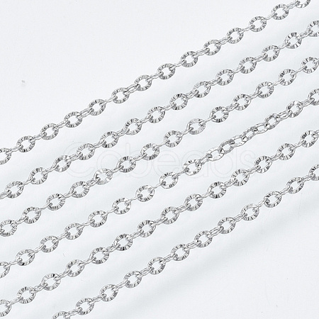 Tarnish Resistant 304 Stainless Steel Chains CHS-S001-12B-P-1