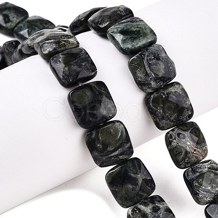 Natural Kambaba Jasper Beads Strands G-T138-171-1
