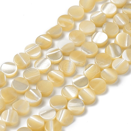 Natural Trochus Shell Beads Strands BSHE-P033-02-1