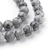Natural Map Stone/Picasso Stone/Picasso Jasper Beads Strands G-G047-8mm-6