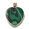 Natural Malachite Pendants G-K335-04G-11-3