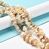 Natural Freshwater Shell Beads Strands G-M205-85B-4