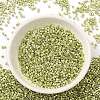 Electroplate Glass Seed Beads SEED-S042-01B-09-2