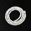 Natural White Shell Bead Strands X-SSHEL-N003-144C-01-2