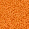 MIYUKI Delica Beads SEED-X0054-DB1583-3