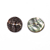 Abalone Shell/Paua Shell BSHE-I011-04A-1