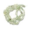 Natural Prehnite Beads Strands G-I389-A19-3