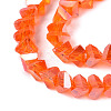 Electroplate Transparent Glass Beads Strands LS-EGLA-Q139-01A-A10-3