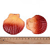 Spray Painted Natural Scallop Shell Big Pendants SSHEL-T017-14D-3