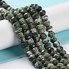 Natural Silver Line Jasper Beads Strands G-Z042-B01-04-2