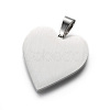 Tarnish Resistant 304 Stainless Steel Pendants STAS-F214-02P-2