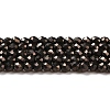 Electroplate Glass Beads Strands GLAA-H021-01A-FP06-2