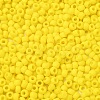 TOHO 6/0 Round Beads X-SEED-TR06-0042F-3