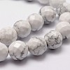 Natural Howlite Beads Strands G-D840-44-10mm-3