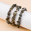 Unisex Chip Natural Labradorite Beaded Stretch Bracelets BJEW-S143-19-4