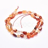 Natural Carnelian Beads Strands G-G765-52-2