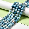 Natural Gemstone Beads Strands G-F730-02C-2