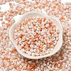 Baking Paint Glass Seed Beads X1-SEED-F006-01A-10-2
