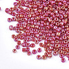 Opaque 12/0 Glass Seed Beads SEED-S023-01C-05-2