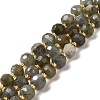 Natural Labradorite Beads Strands G-P508-A20-01-1