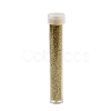 Plastic Glitter Powder Fillers AJEW-H144-01A-2