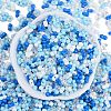Glass Seed Beads SEED-K010-03D-3