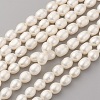 Natural Cultured Freshwater Pearl Beads Strands PEAR-G007-23-1