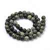 Natural Serpentine/Green Lace Stone Beads Strands G-S259-15-10mm-2