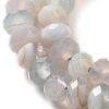 Natural Banded Agate/Striped Agate Beads Strands G-E605-A02-01F-4