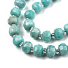 Natural Amazonite Beads Strands G-N327-08F-3